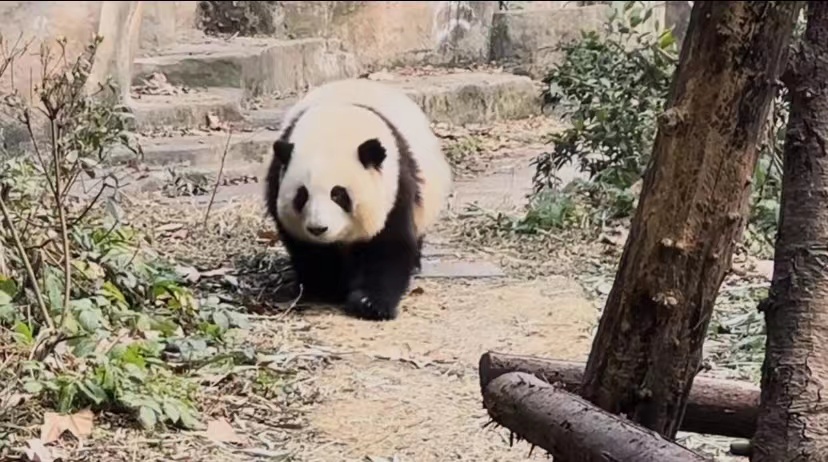 1677206985762357.jpg 1677206985762357.jpg